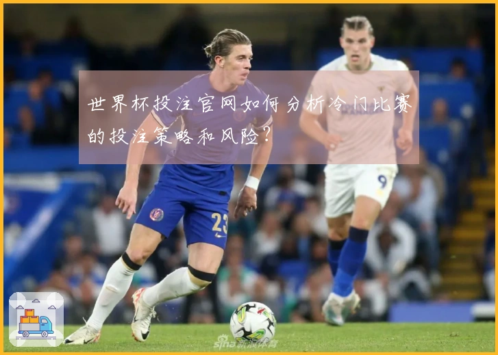 世界杯投注官网如何分析冷门比赛的投注策略和风险？