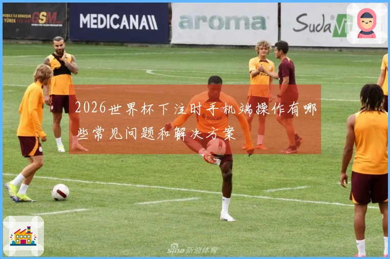 2026世界杯下注时手机端操作有哪些常见问题和解决方案