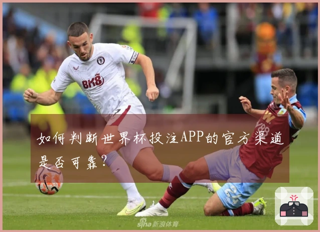 如何判断世界杯投注APP的官方渠道是否可靠？