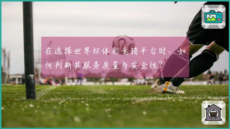 在选择世界杯体彩竞猜平台时，如何判断其服务质量与安全性？