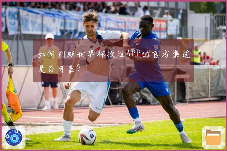 如何判断世界杯投注APP的官方渠道是否可靠？