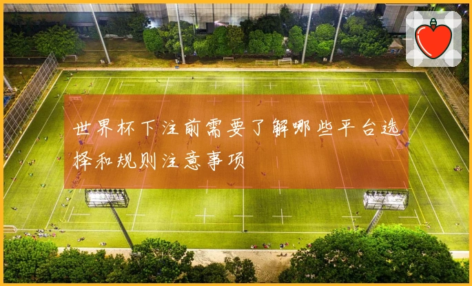 世界杯下注前需要了解哪些平台选择和规则注意事项